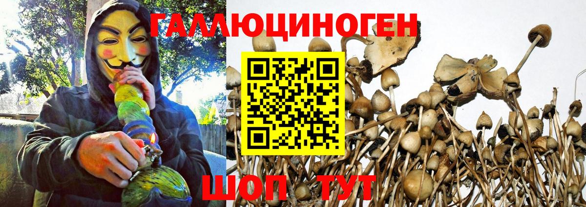 Кушва  Псилоцибиновые грибы прущие грибы  Вход с VPN 